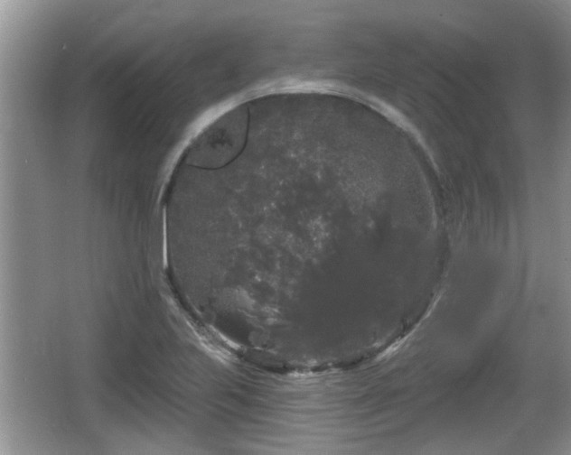 X0000064721223200602131216