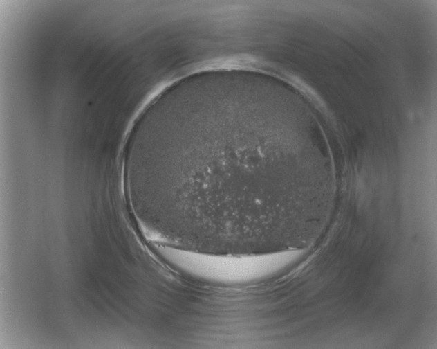 X0000064721224200602131216