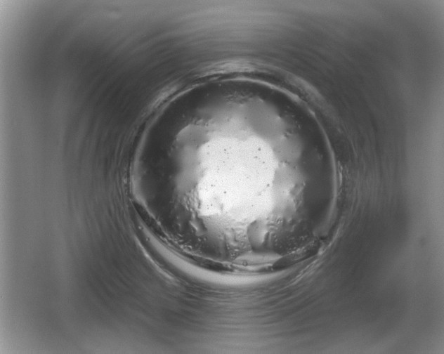 X0000064721225200602131216