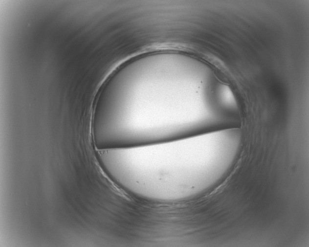 X0000064721228200602131216