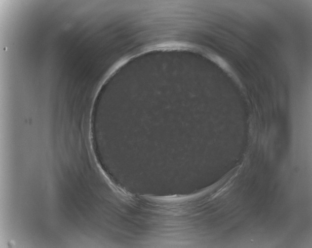 X0000064721229200602131216