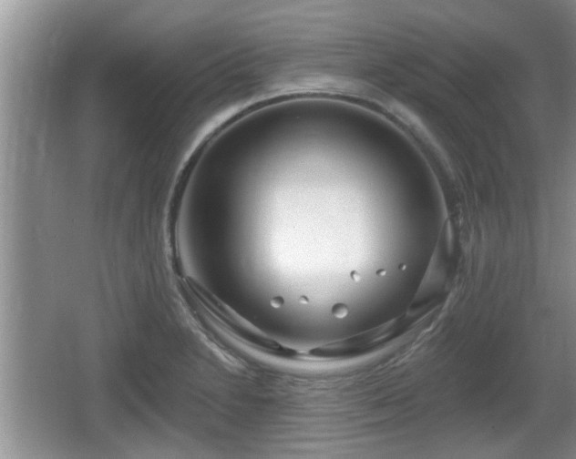 X0000064721230200602131216