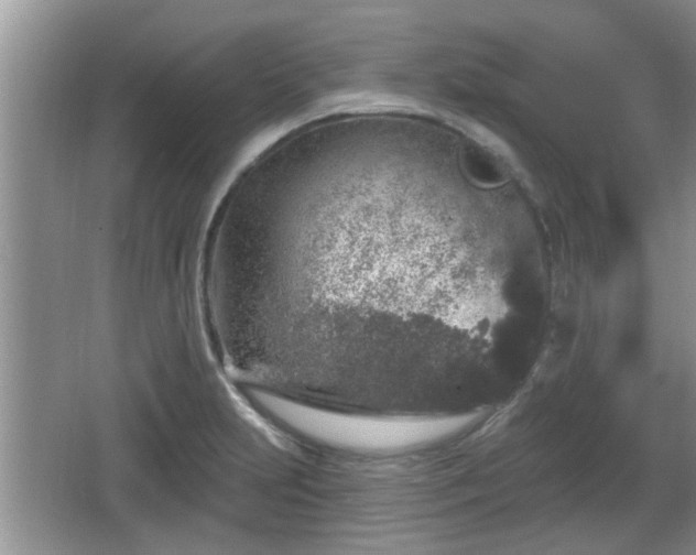 X0000064721231200602131216