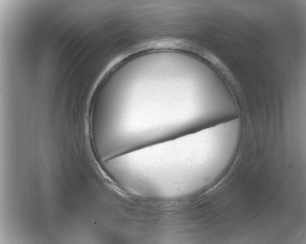 X0000064721232200602131216