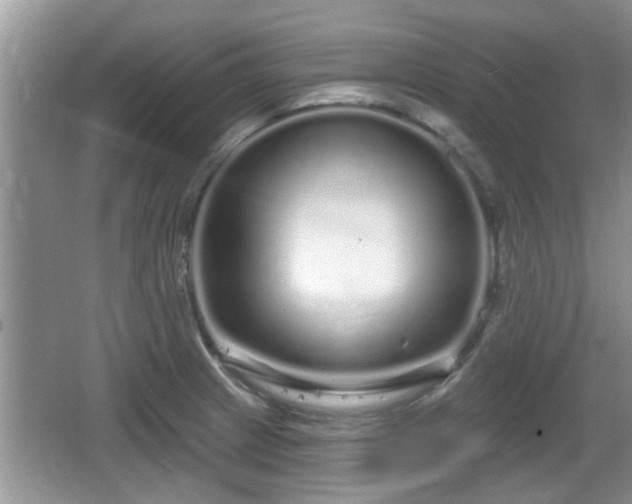 X0000064721233200602131216