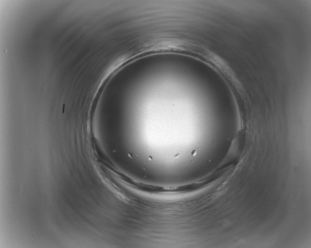 X0000064721234200602131216