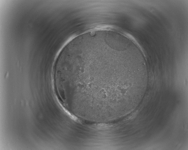 X0000064721235200602131216