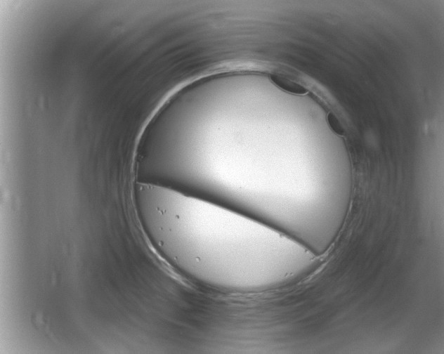 X0000064721236200602131216