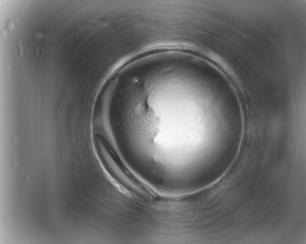 X0000064721237200602131216