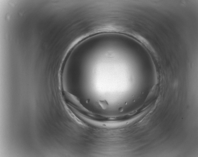 X0000064721238200602131216