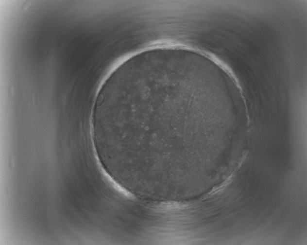 X0000064721239200602131216