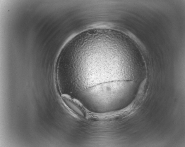 X0000064721240200602131216