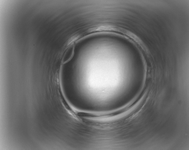 X0000064721241200602131216