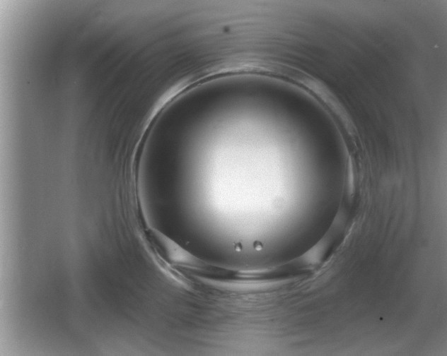 X0000064721242200602131216