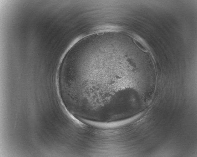 X0000064721243200602131216