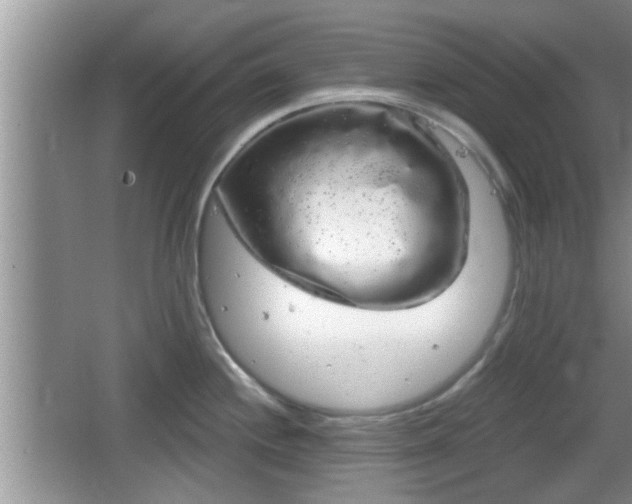 X0000064721244200602131216