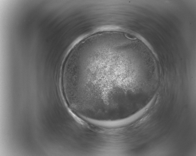 X0000064721245200602131216