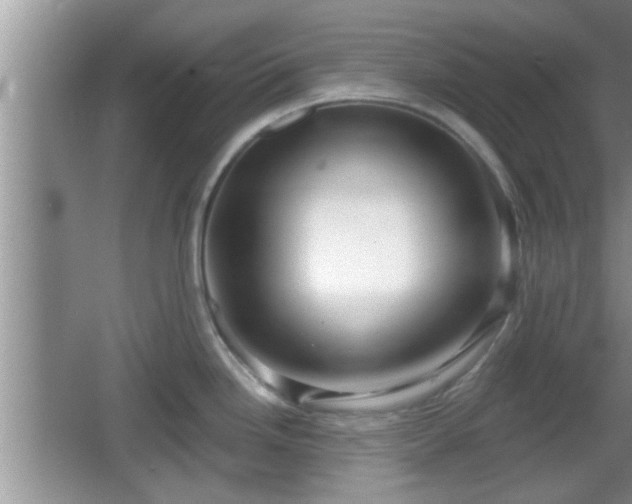 X0000064721246200602131216