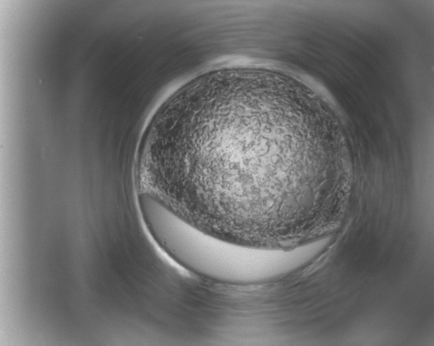 X0000064721247200602131216