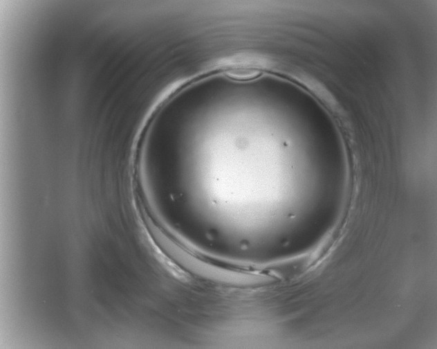 X0000064721248200602131216