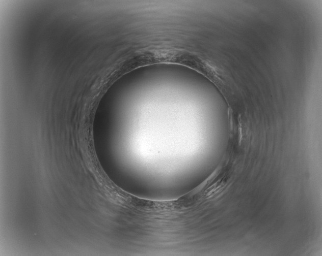 X0000064721249200602131215