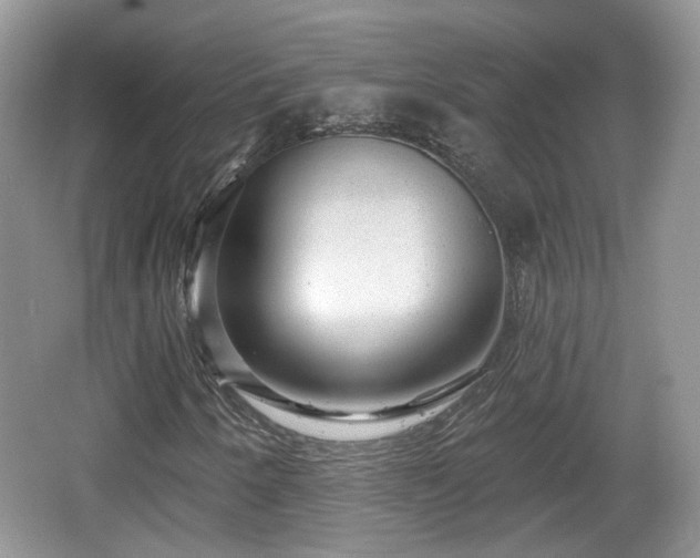 X0000064721250200602131215