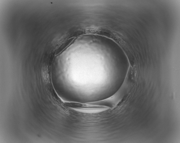 X0000064721252200602131215