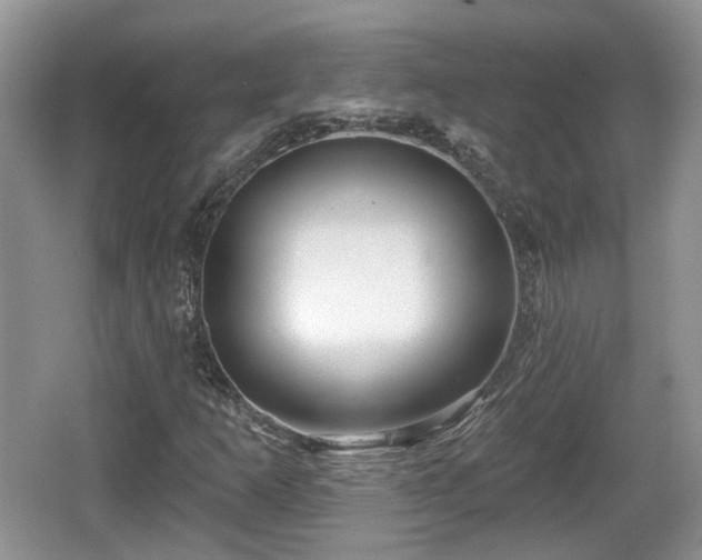 X0000064721253200602131215