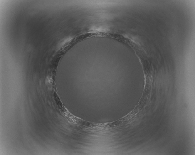 X0000064721254200602131215