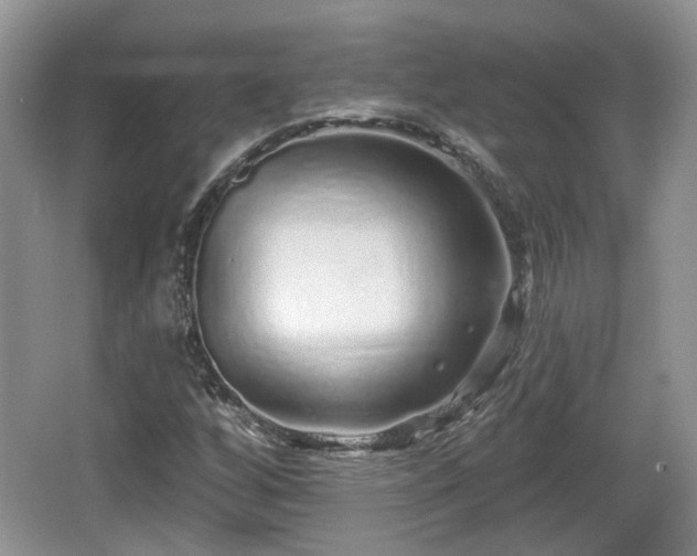 X0000064721256200602131215