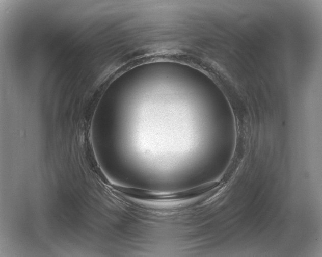 X0000064721257200602131215