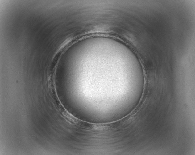 X0000064721258200602131215