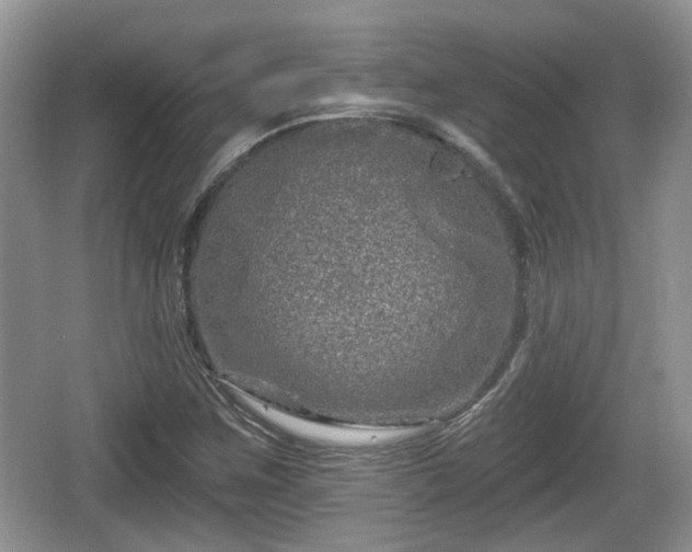 X0000064721259200602131215