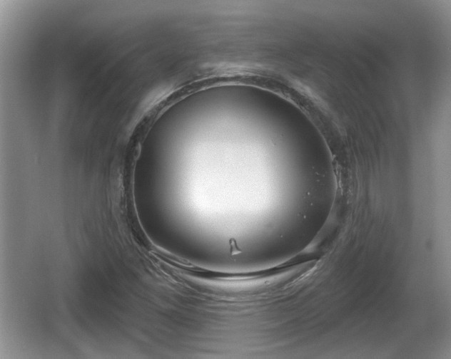 X0000064721261200602131215