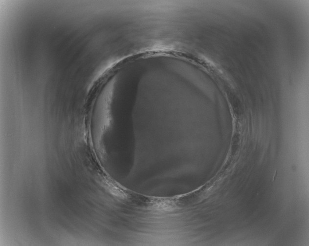 X0000064721262200602131215