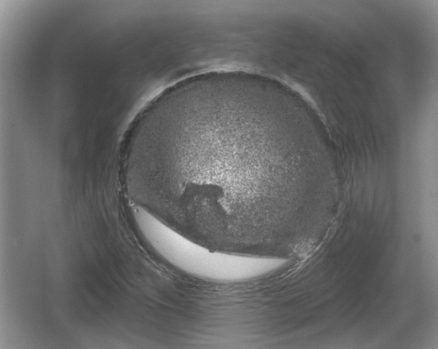 X0000064721263200602131215