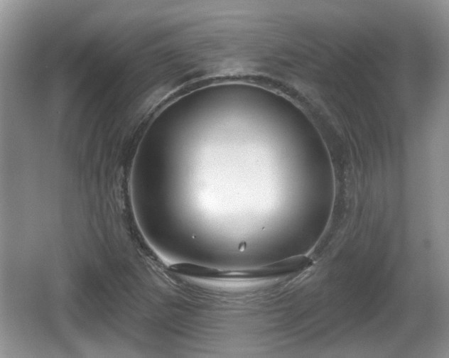 X0000064721265200602131215