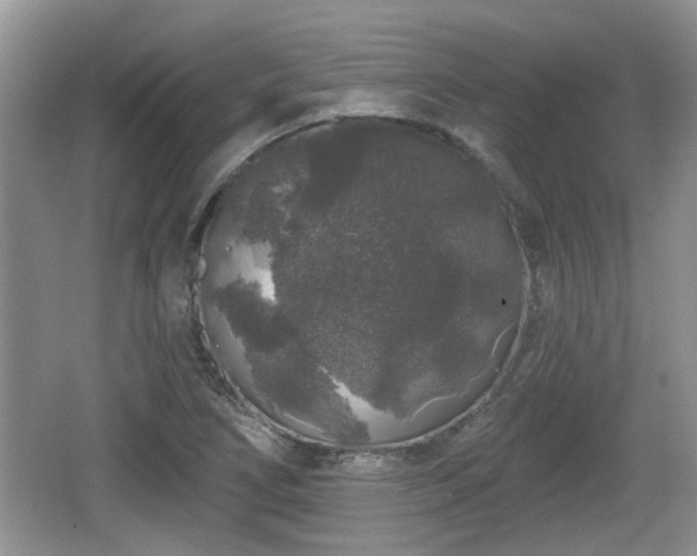 X0000064721266200602131215