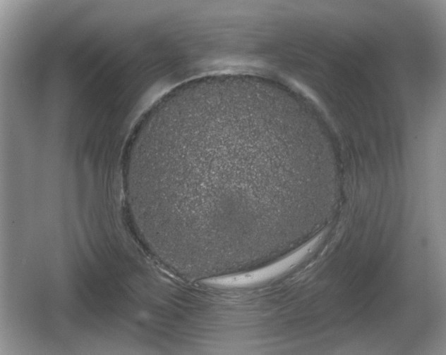 X0000064721267200602131215