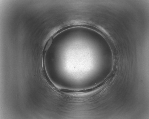 X0000064721269200602131215