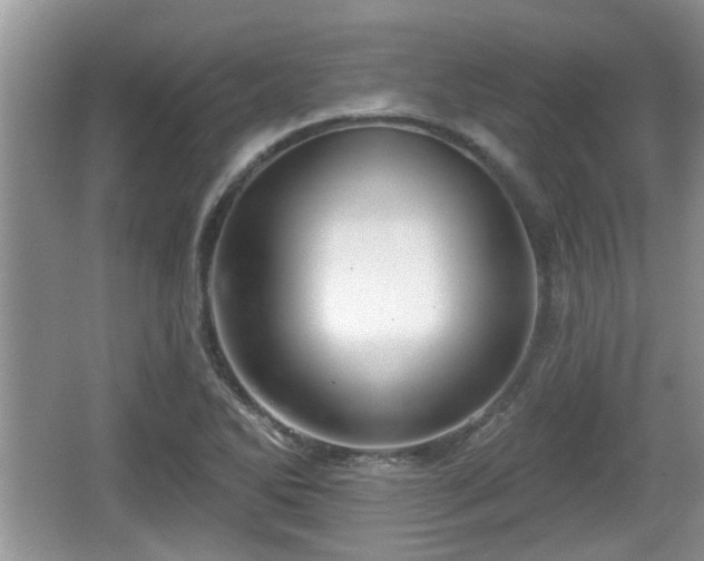 X0000064721270200602131215