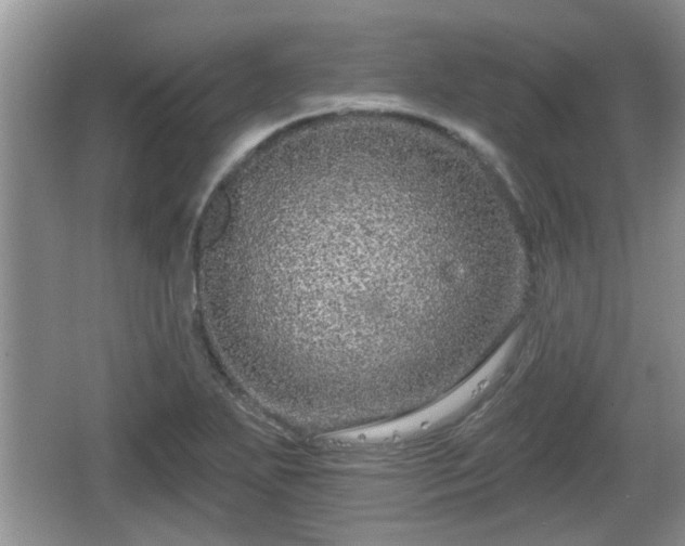 X0000064721271200602131215