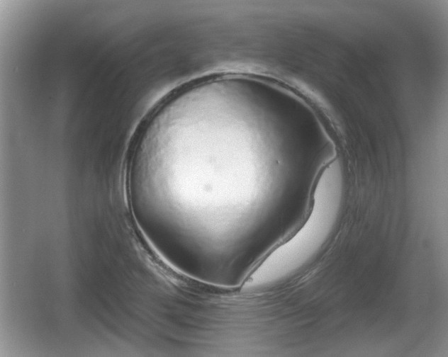 X0000064721272200602131215