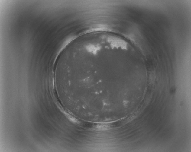 X0000064721274200602131215