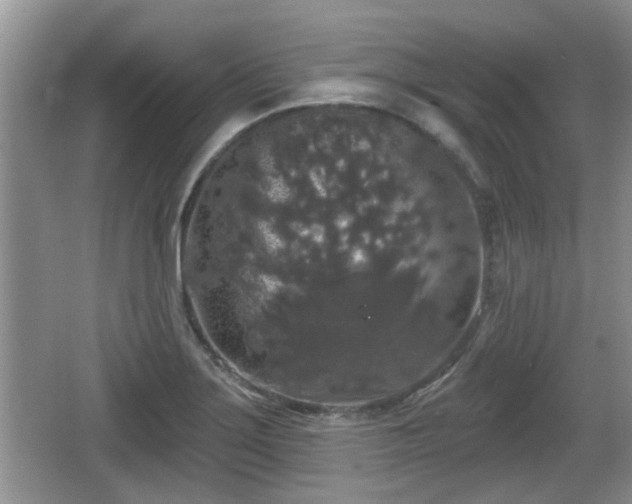 X0000064721275200602131215