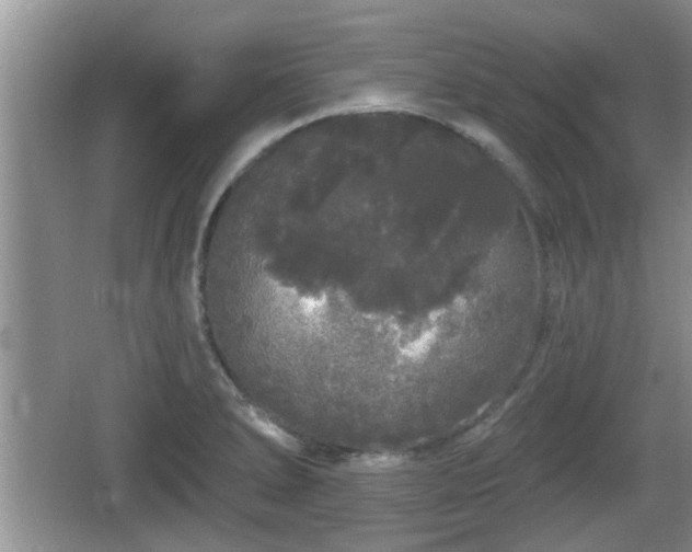 X0000064721278200602131215