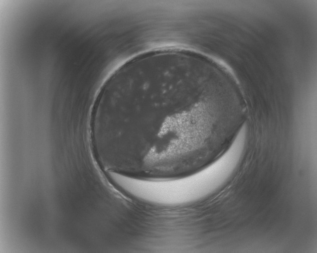 X0000064721279200602131215