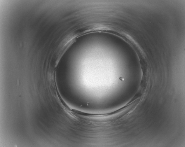 X0000064721281200602131215