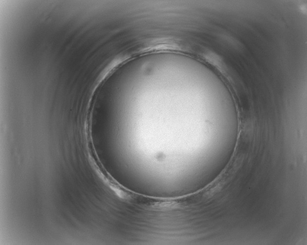 X0000064721282200602131215