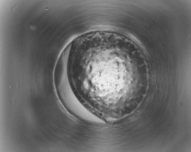 X0000064721283200602131215